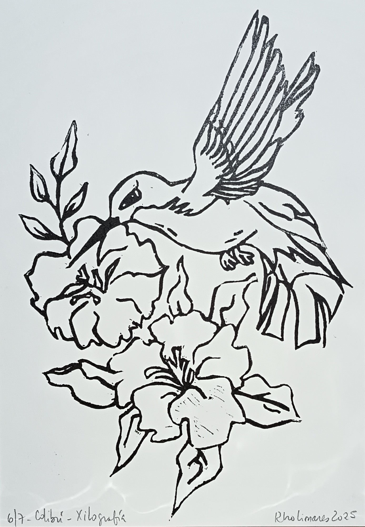 Estampa Original A4 - Colibrí B&N
