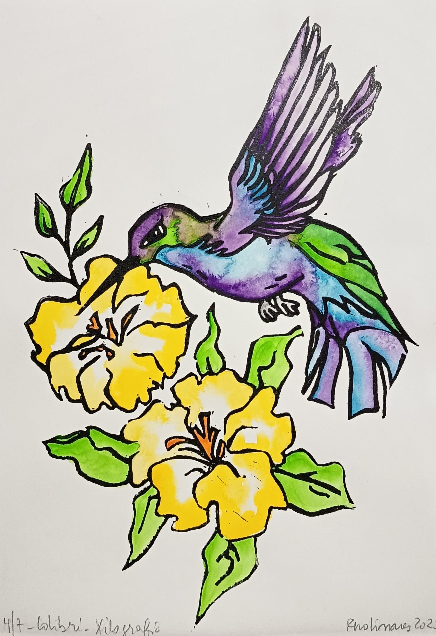 Estampa Original A4 - Colibrí Color
