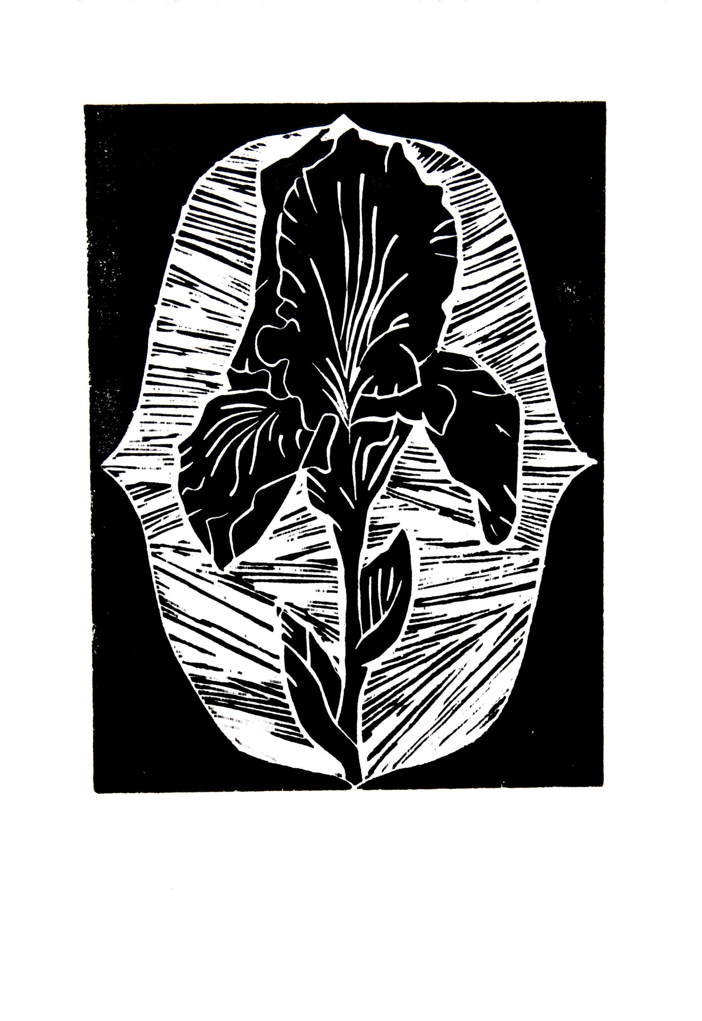 Estampa Original A4 - Black Flowers II