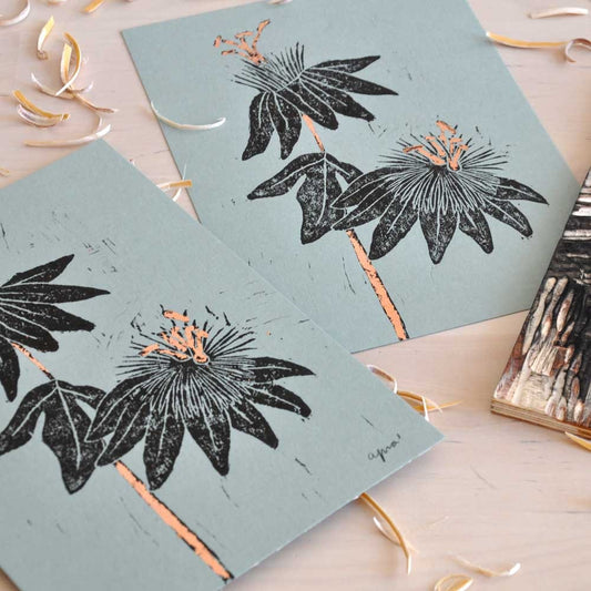 Xilografía Botánica – Pasiflora