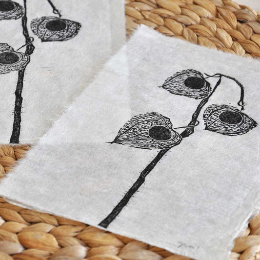 Xilografía Botánica – Chinese lantern