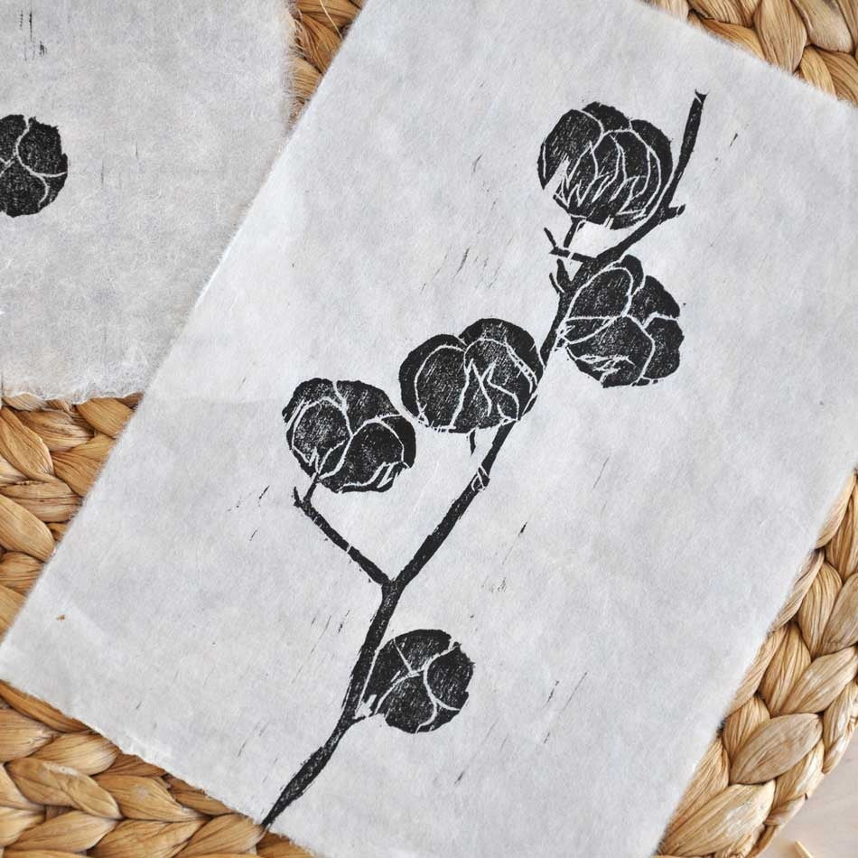 Xilografía Botánica – Cotton