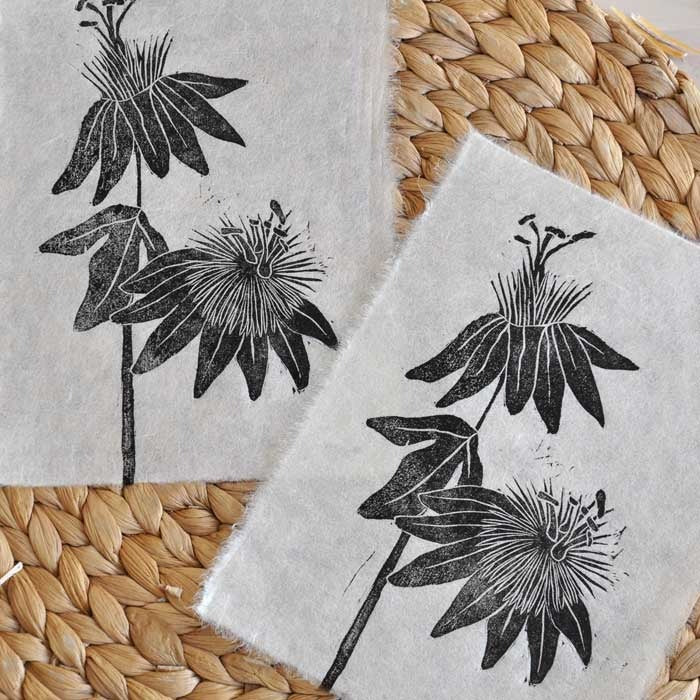 Xilografía Botánica – Pasiflora