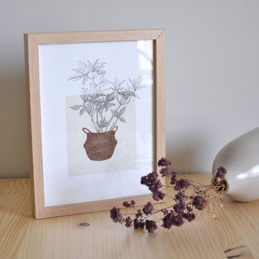 Lamina A4 Flor de Navidad