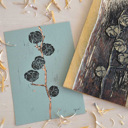 Xilografía Botánica – Cotton