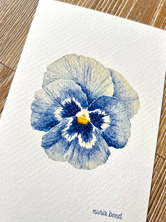 Lámina Botánica: Pensamiento Azul A6