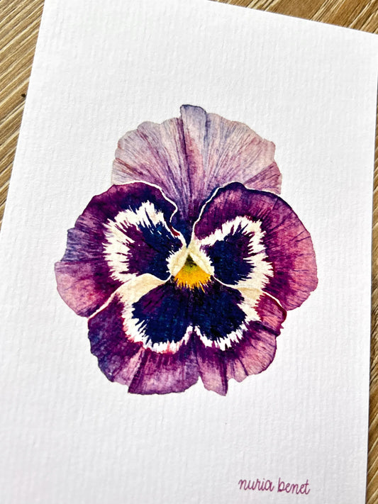 Lámina Botánica: Pensamiento Morado A6