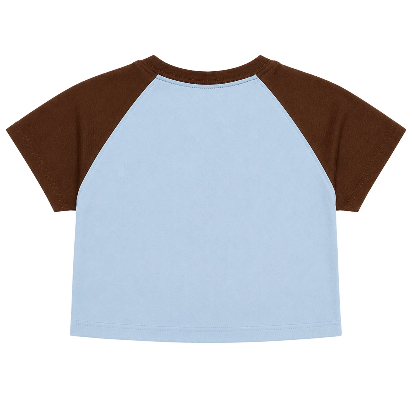 Crop Top Vintage "Hot and Smart"