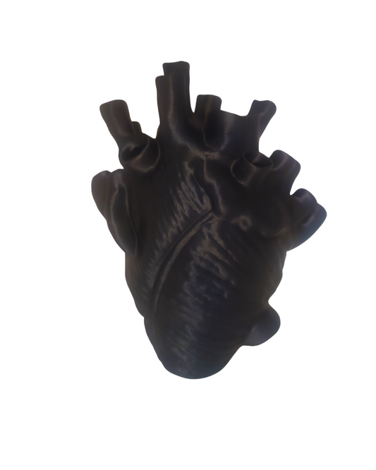 Florero Corazón Anatómico - Latido Negro - Jarrón Ecológico para Flores Secas