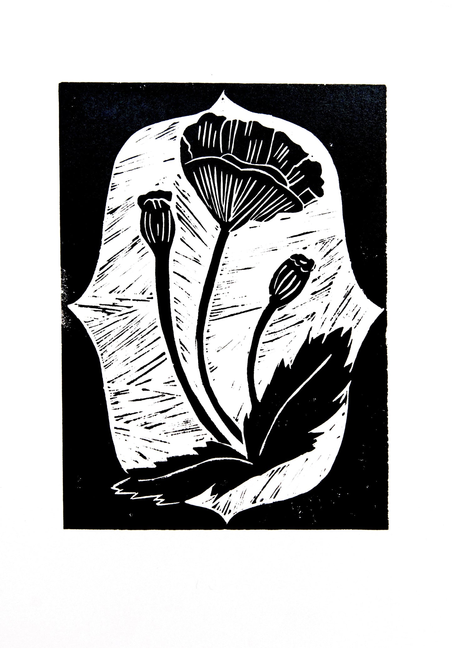 Estampa Original A4 - Black Flowers IV
