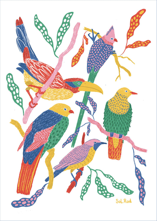 Print A3 Aves de colores – obra colorida