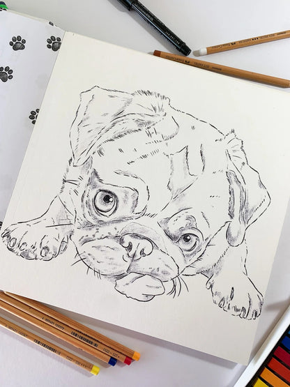 Libro para Colorear Perros - Cata Fuenzalida