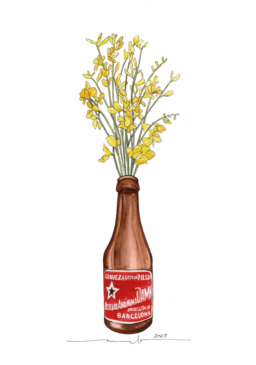 Lámina Estrella Damm y ginestas
