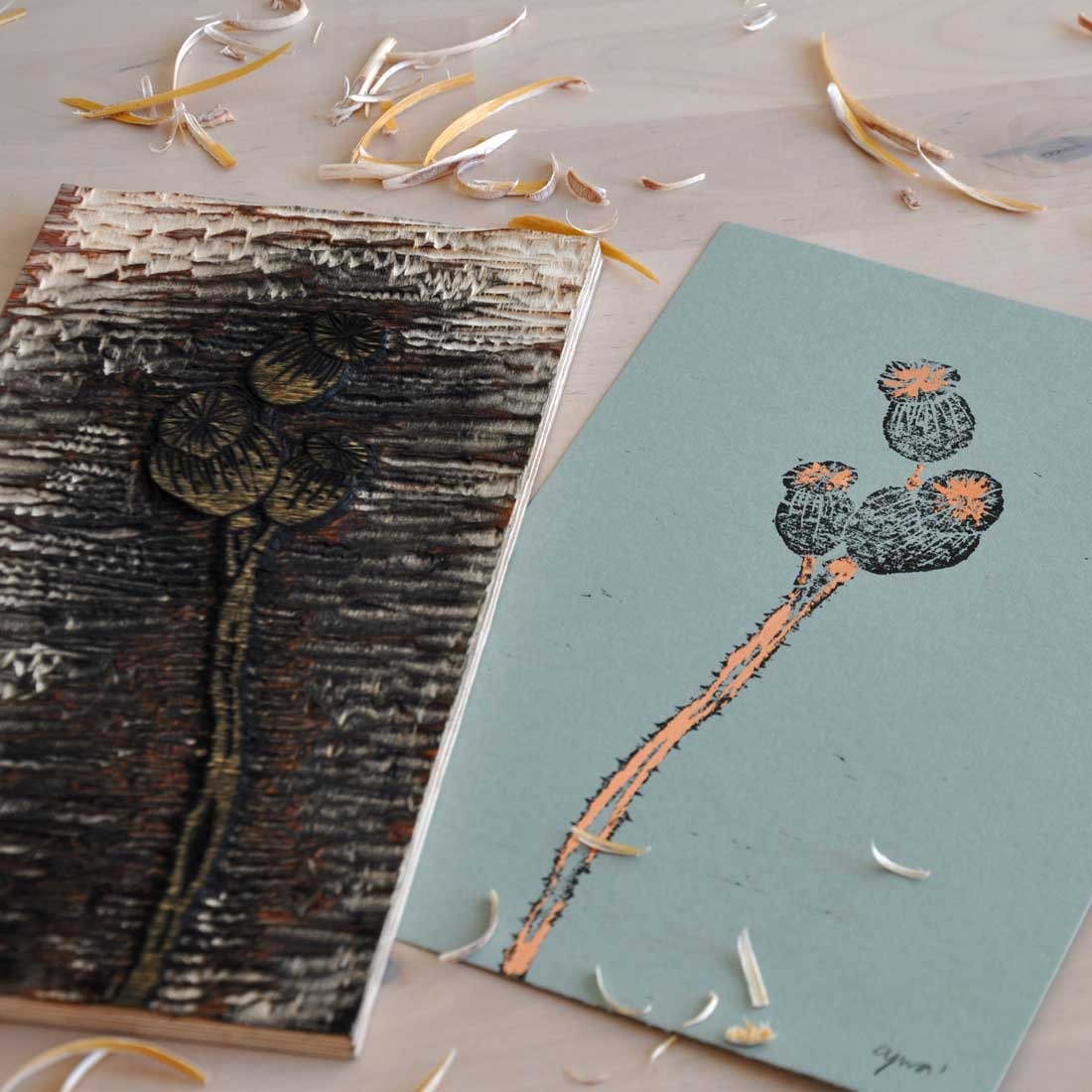 Xilografía Botánica – Poppy Seed