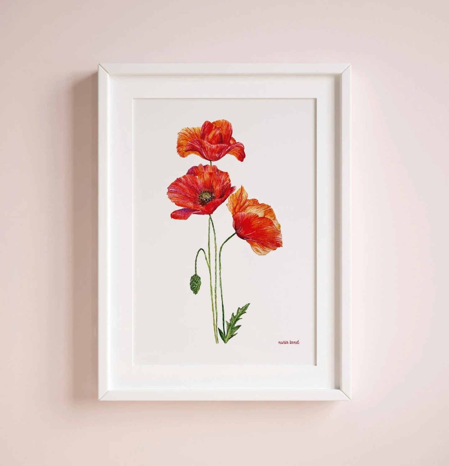 Lámina Ilustrada: Amapolas