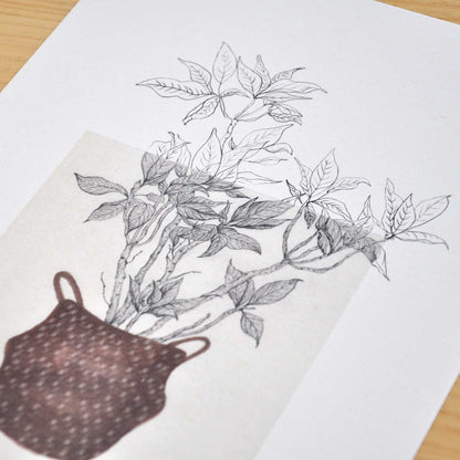 Lamina A4 Flor de Navidad