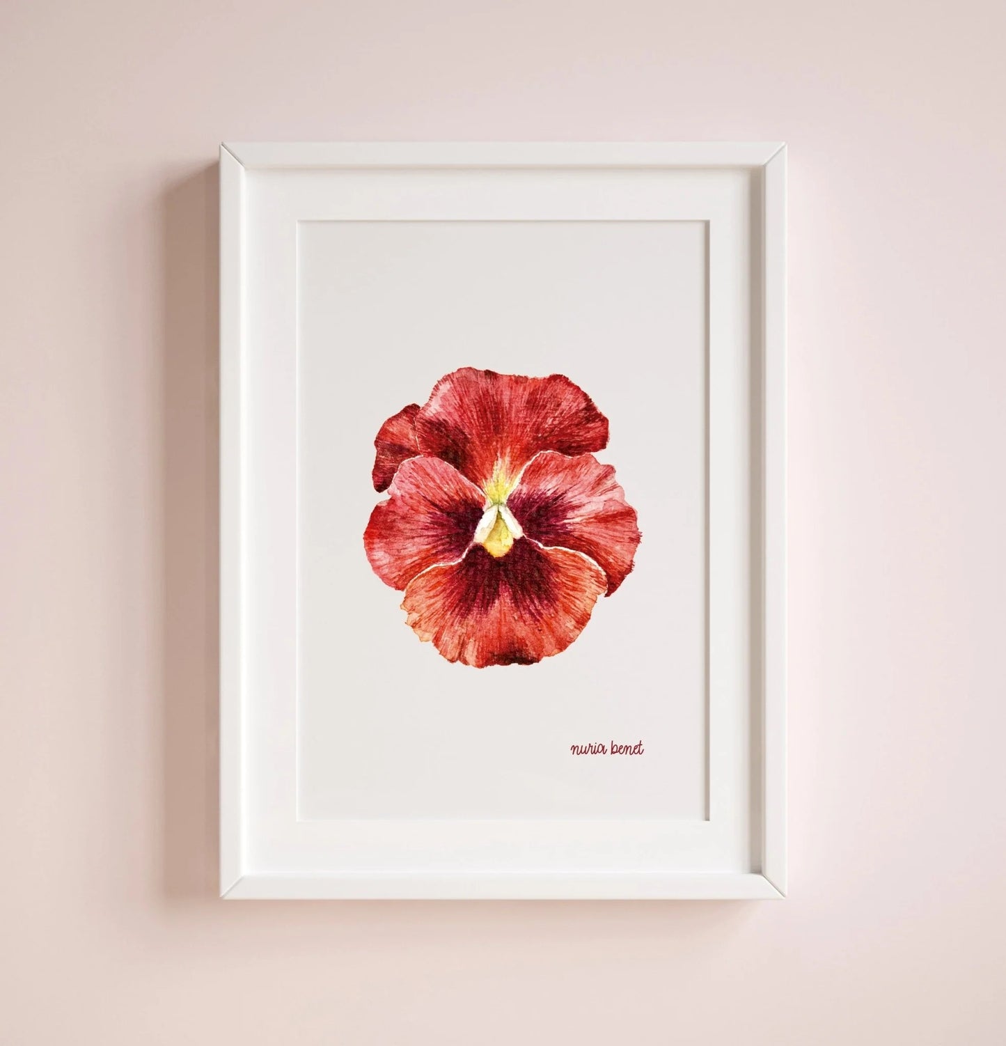 Lámina Botánica: Pensamiento Rojo