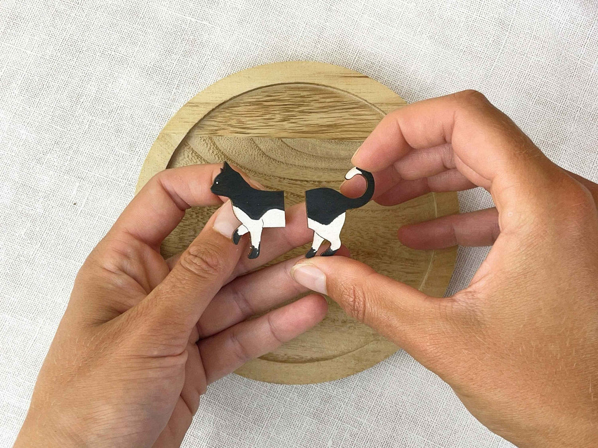 Broches: Ga-to