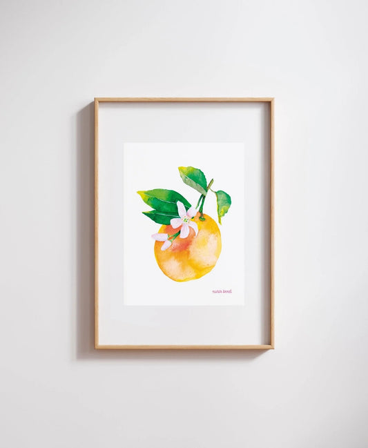 Lámina Botánica: Naranja A5