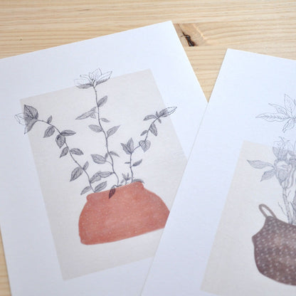 Lamina Menta - Ilustración botánica