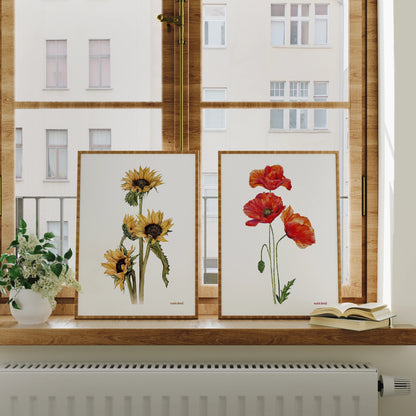 Lámina Ilustrada: Amapolas