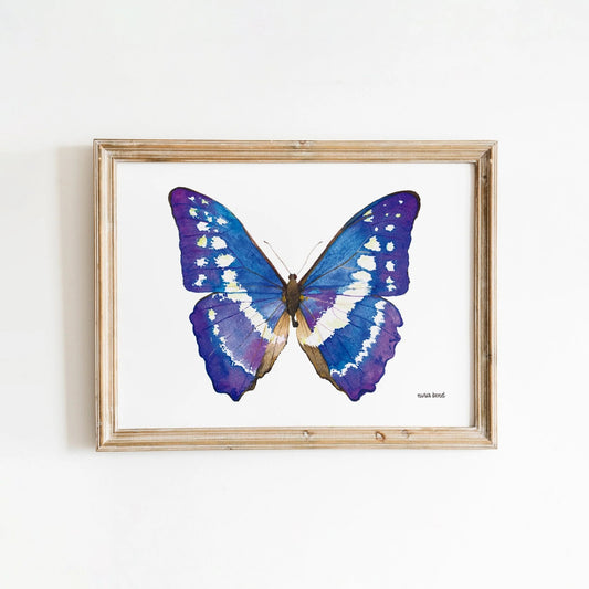 Lámina Ilustrada: Mariposa Morpho Azul A5