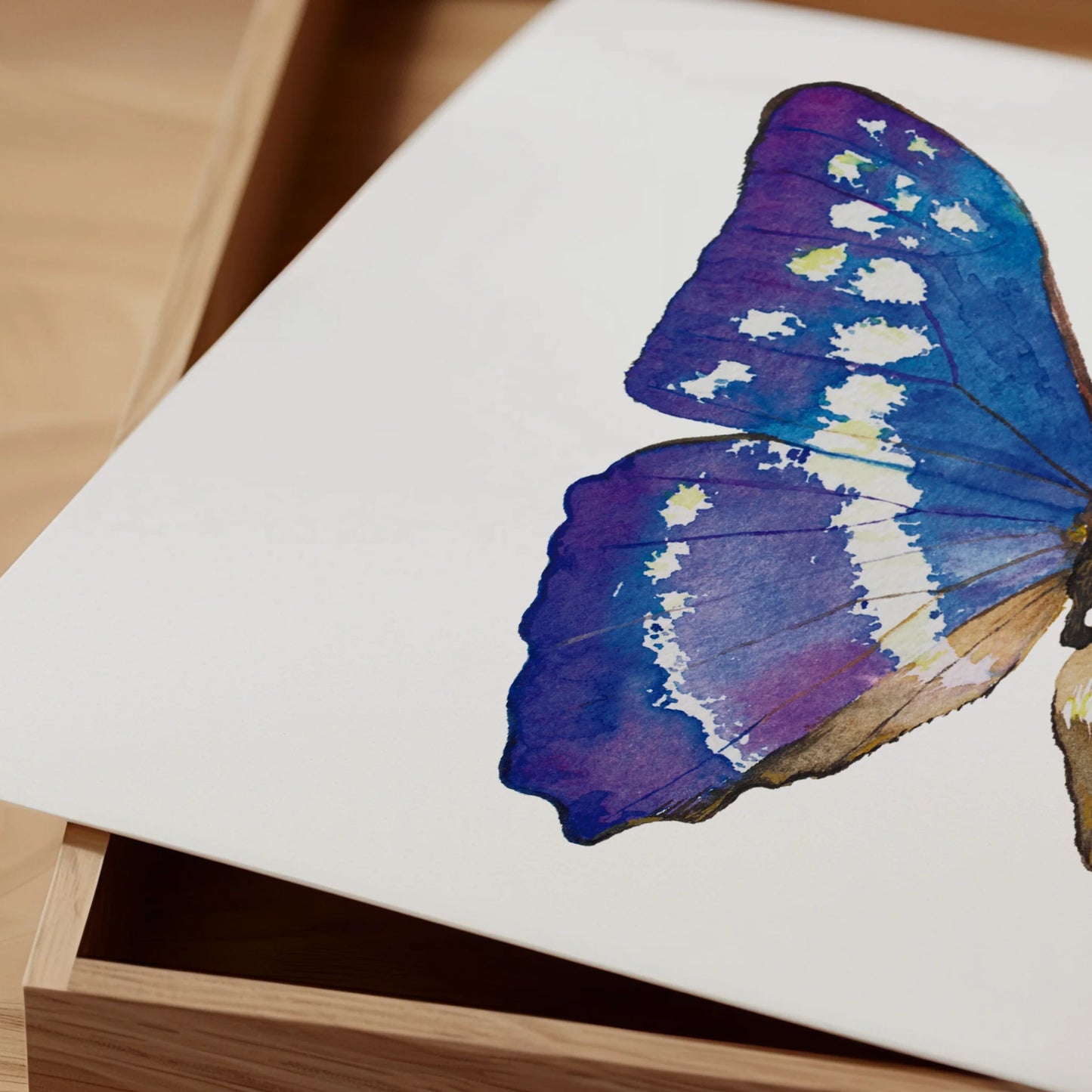 Lámina Ilustrada: Mariposa Morpho Azul