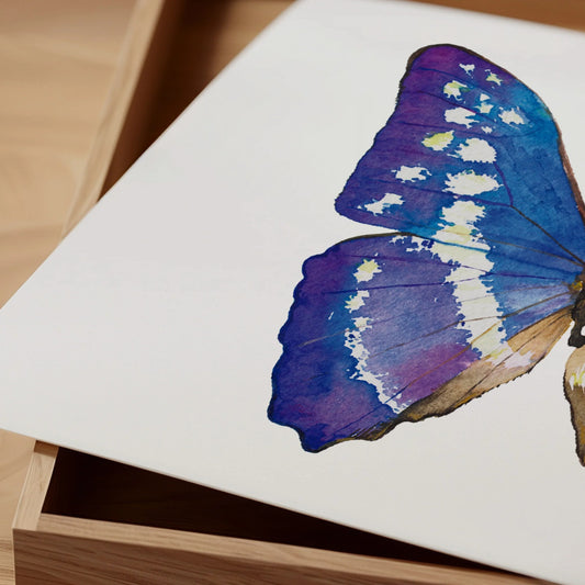Lámina Ilustrada: Mariposa Morpho Azul A5