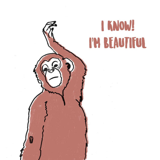 Postal con sobre 'I know! Me beautiful' – Just Joking A7