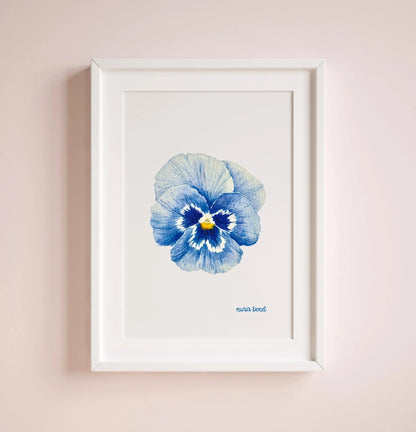 Lámina Botánica: Pensamiento Azul