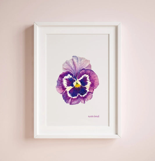 Lámina Botánica: Pensamiento Morado A6