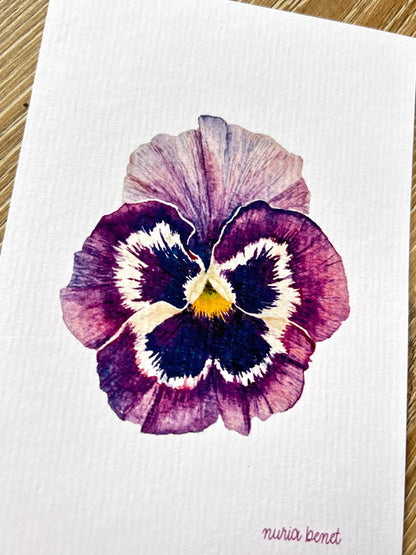 Lámina Botánica: Pensamiento Morado