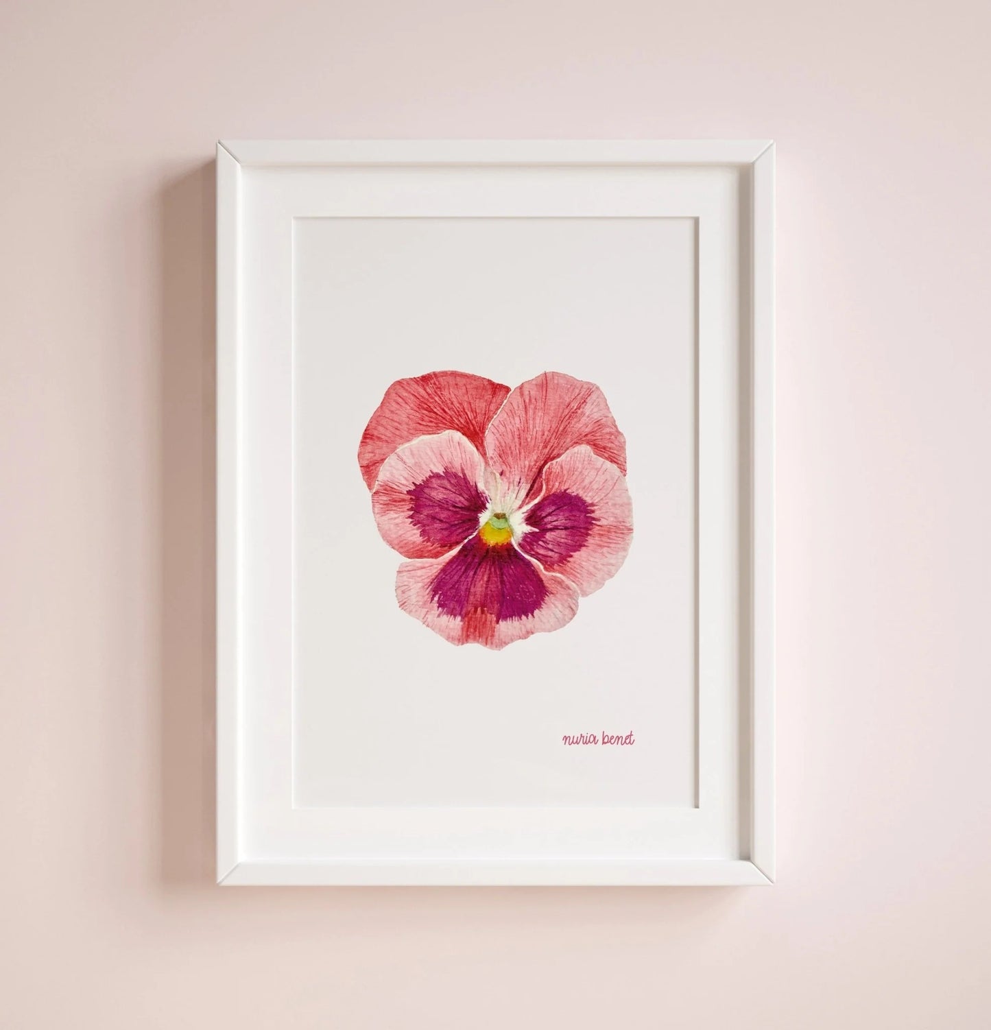 Lámina Botánica: Pensamiento Rosa