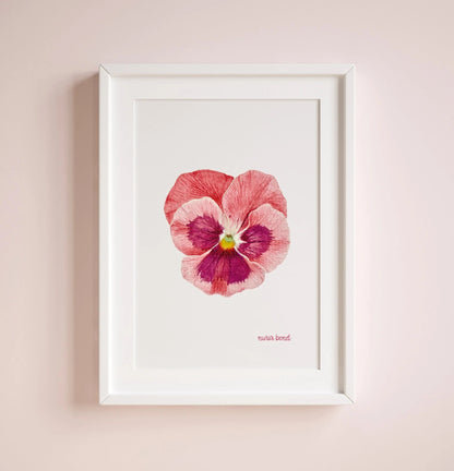 Lámina Botánica: Pensamiento Rosa