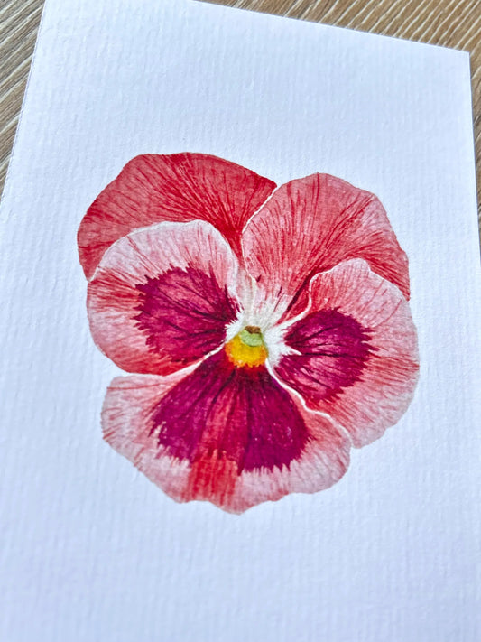 Lámina Botánica: Pensamiento Rosa A6