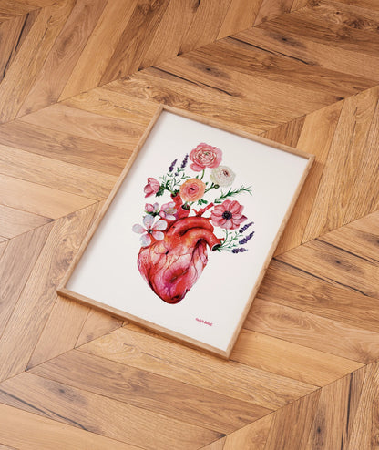 Lámina Botánica: Corazón Floral
