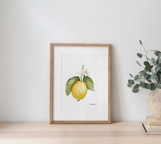 Lámina Botánica: Limón A5