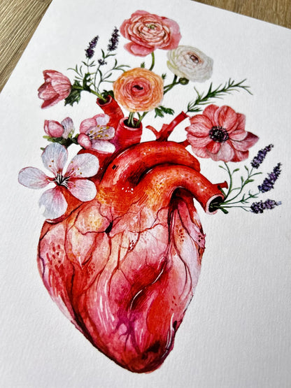 Lámina Botánica: Corazón Floral