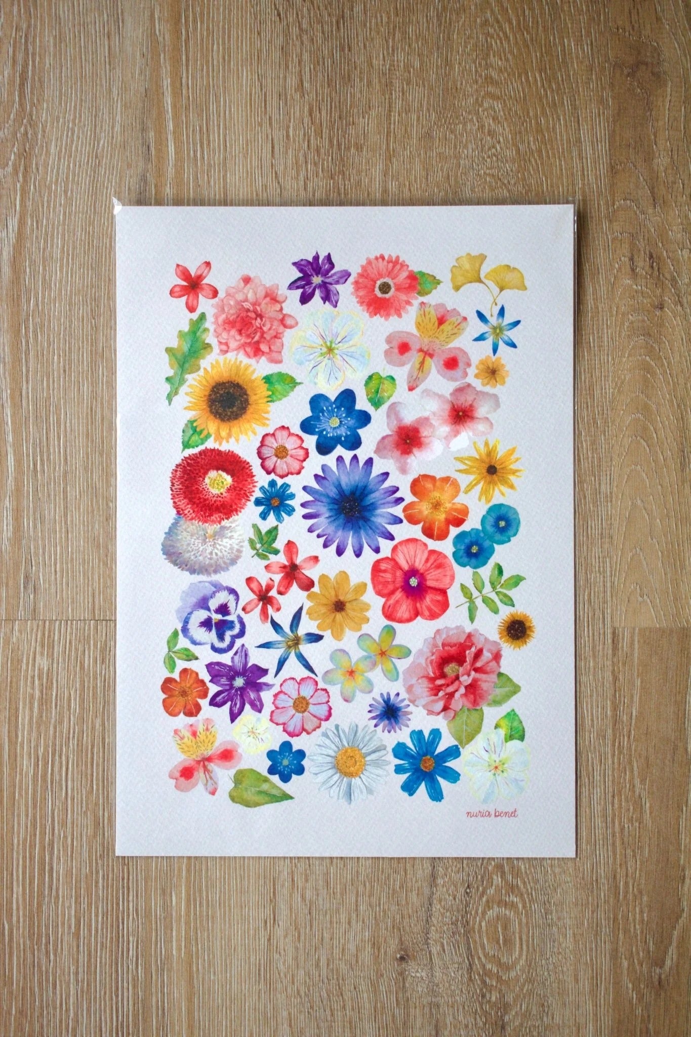 Lámina Botánica: Composición Floral