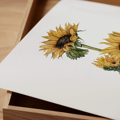 Print Flores Girasoles