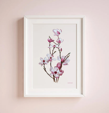 Lámina Botánica: Magnolias