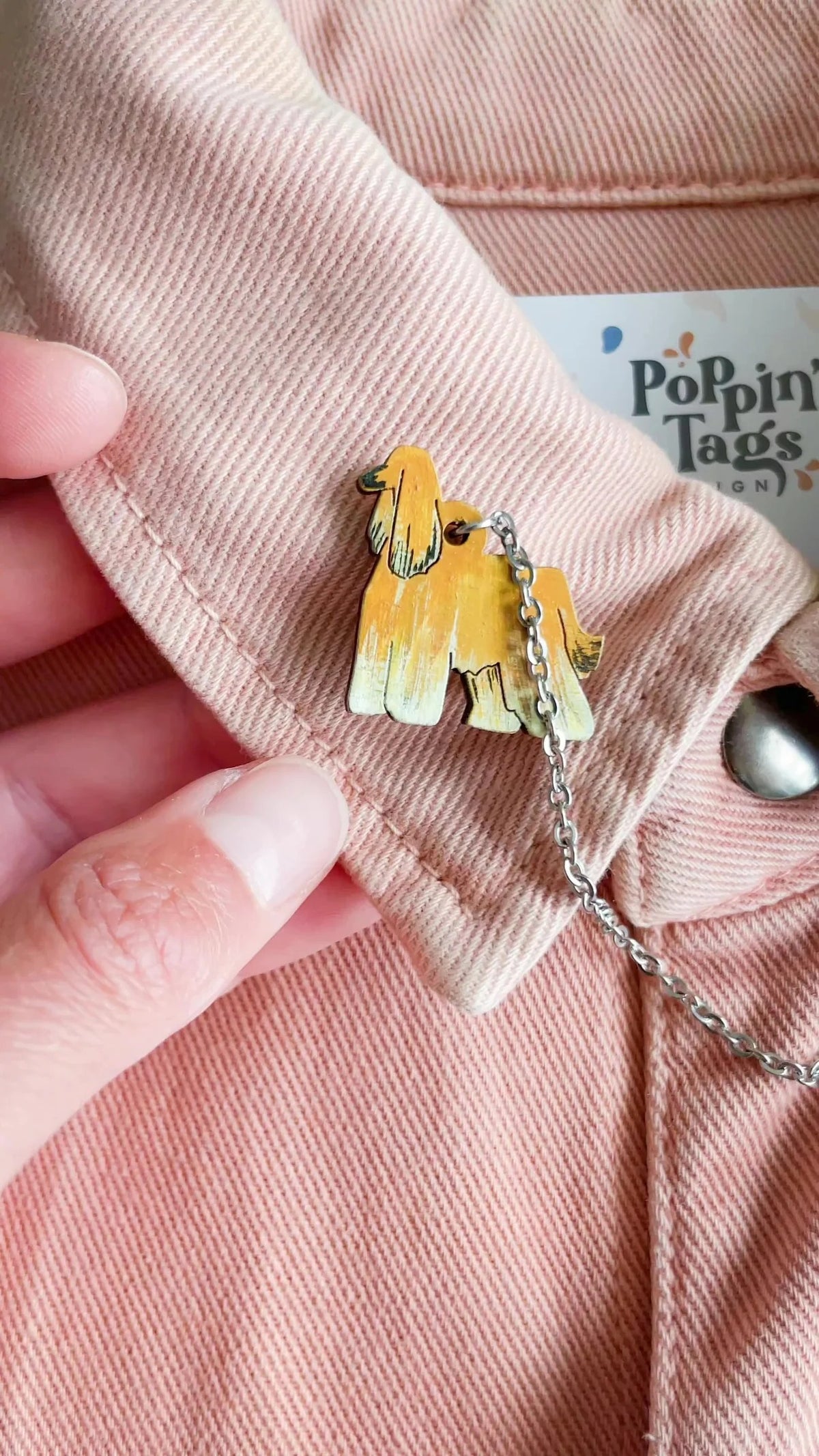 Pins de Cuello: Paseando al Perro