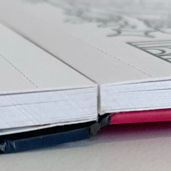 Libro para Colorear ¿Qué Pinto Yo Aquí? - Mr Gonar