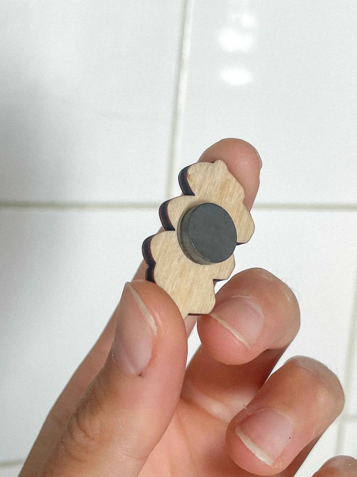 Imanes con Receta: Tortilla